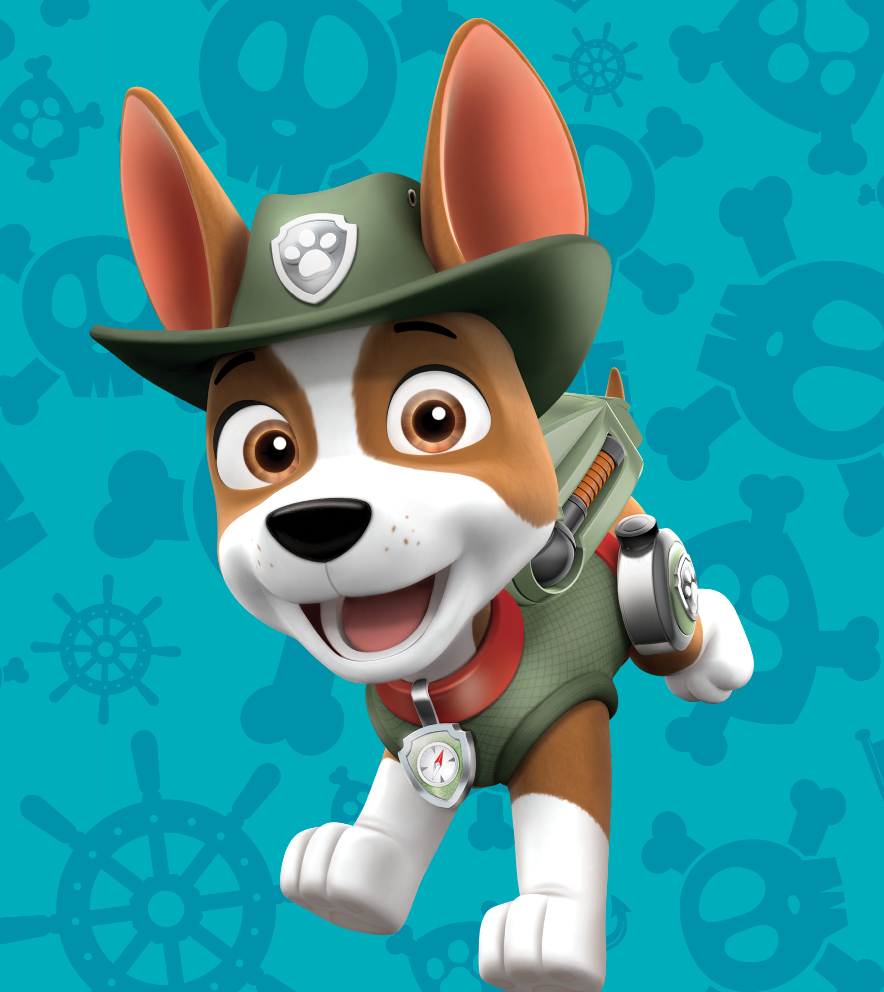  PAW  Patrol  Live The Great Pirate Adventure Show Details 