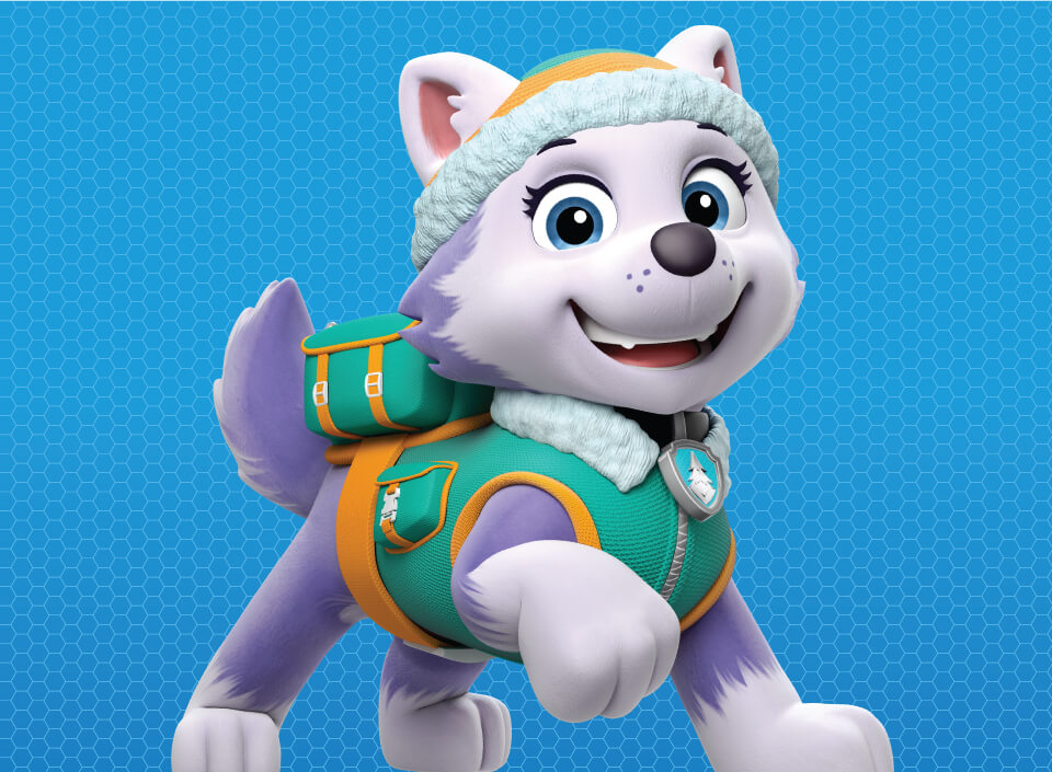 Paw Patrol Characters Names With Pictures and Facts
