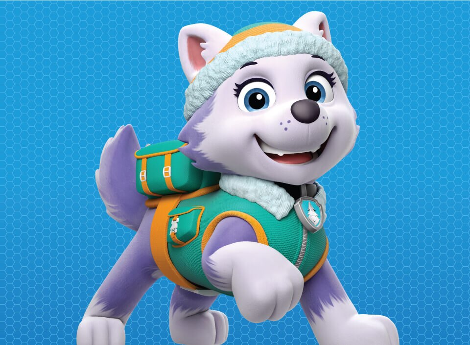 Paw Patrol Characters Names With Images Online Deals www