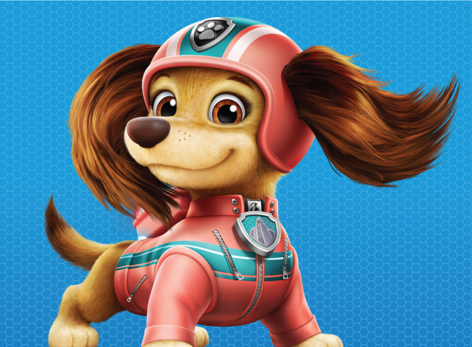 Berucht hybride Gelukkig is dat PAW Patrol Live! Heroes Unite | Show Details, Characters, & More!