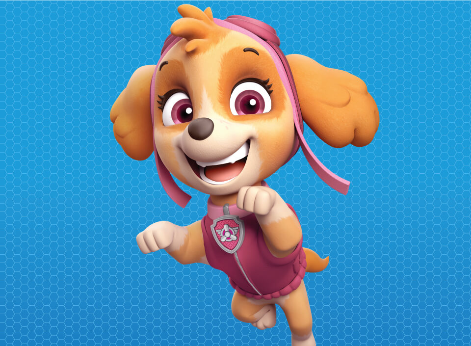 Paw Patrol Characters - Biography Skye - Desktop image