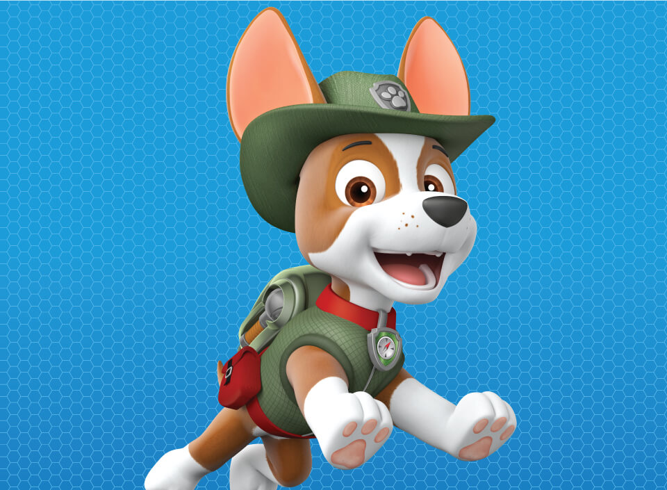 PAW Patrol Heroes Unite Show Details, &