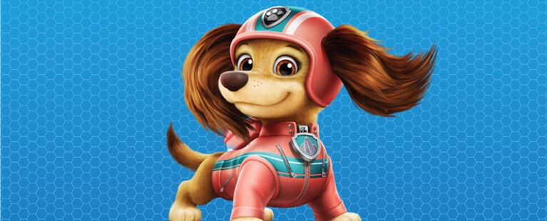 what kind of dogs are the paw patrol pups