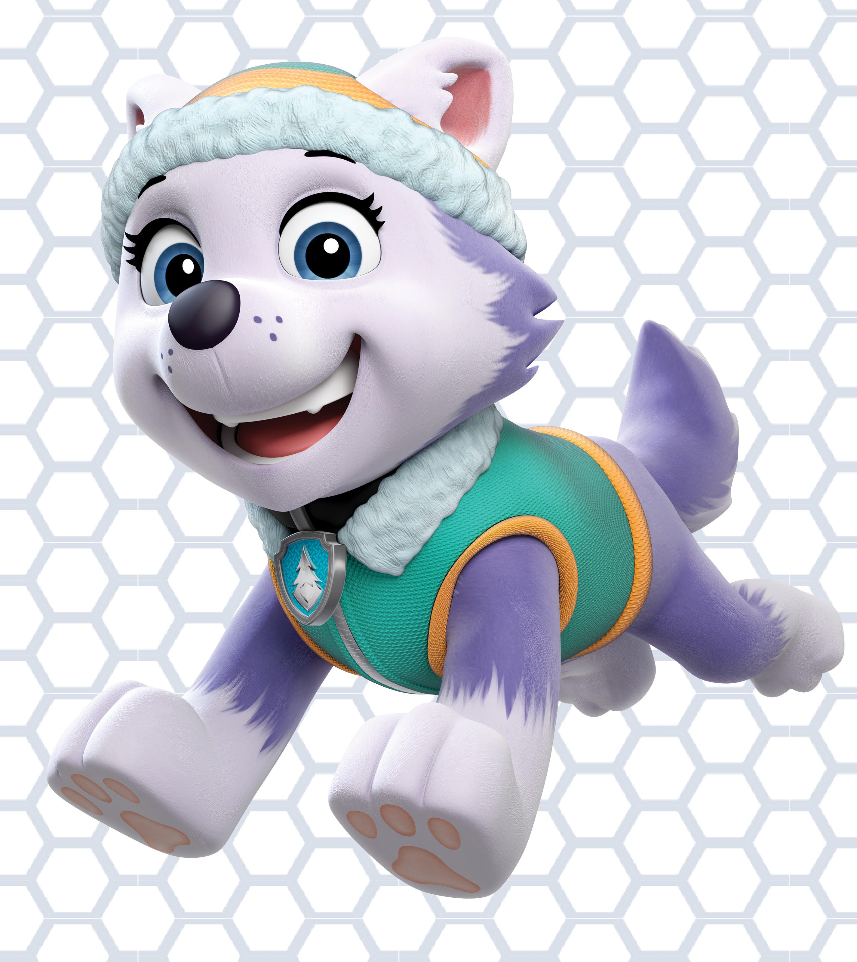 PAW Patrol Live! Everest