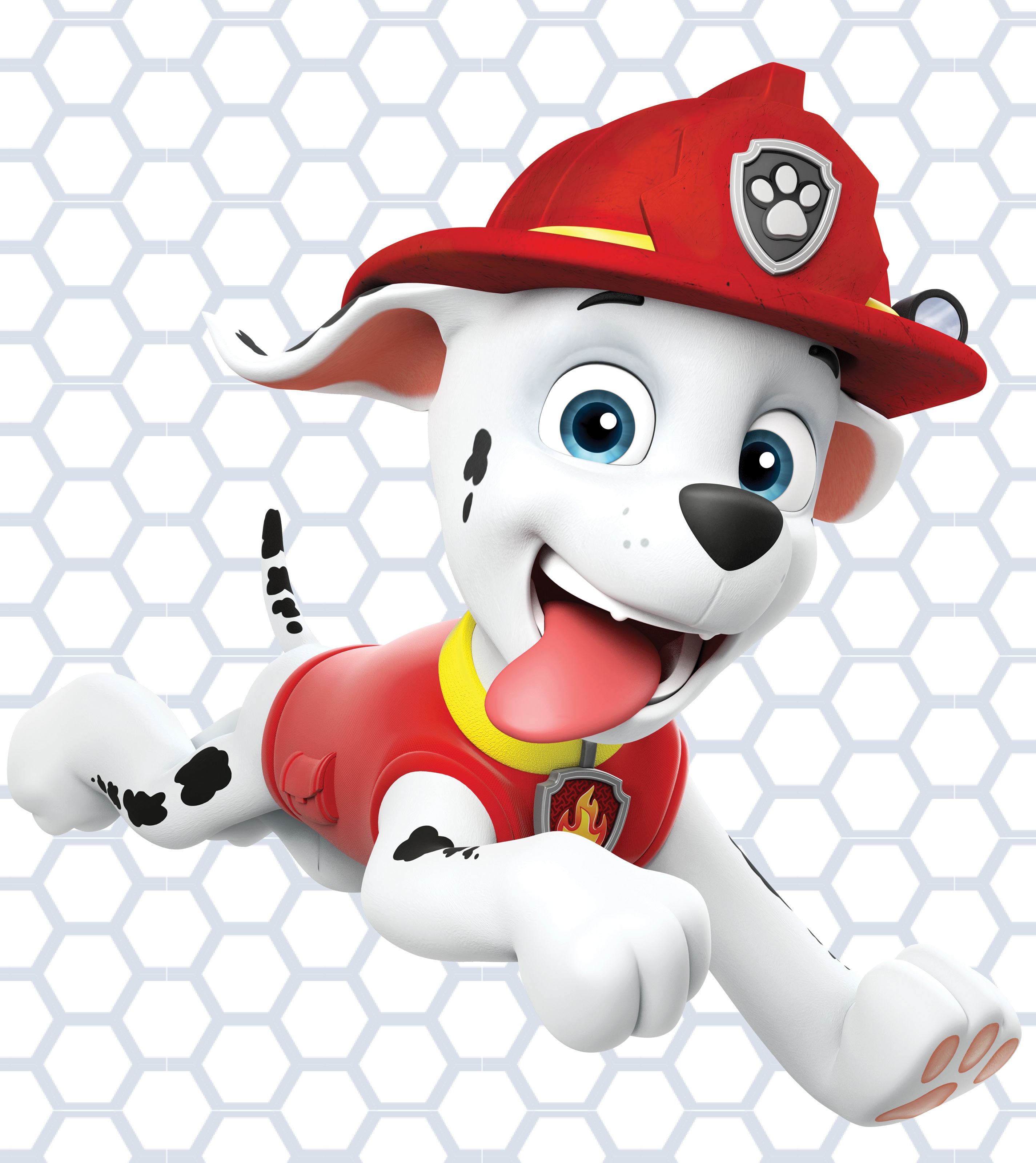 PAW Patrol Live! Race to the Rescue