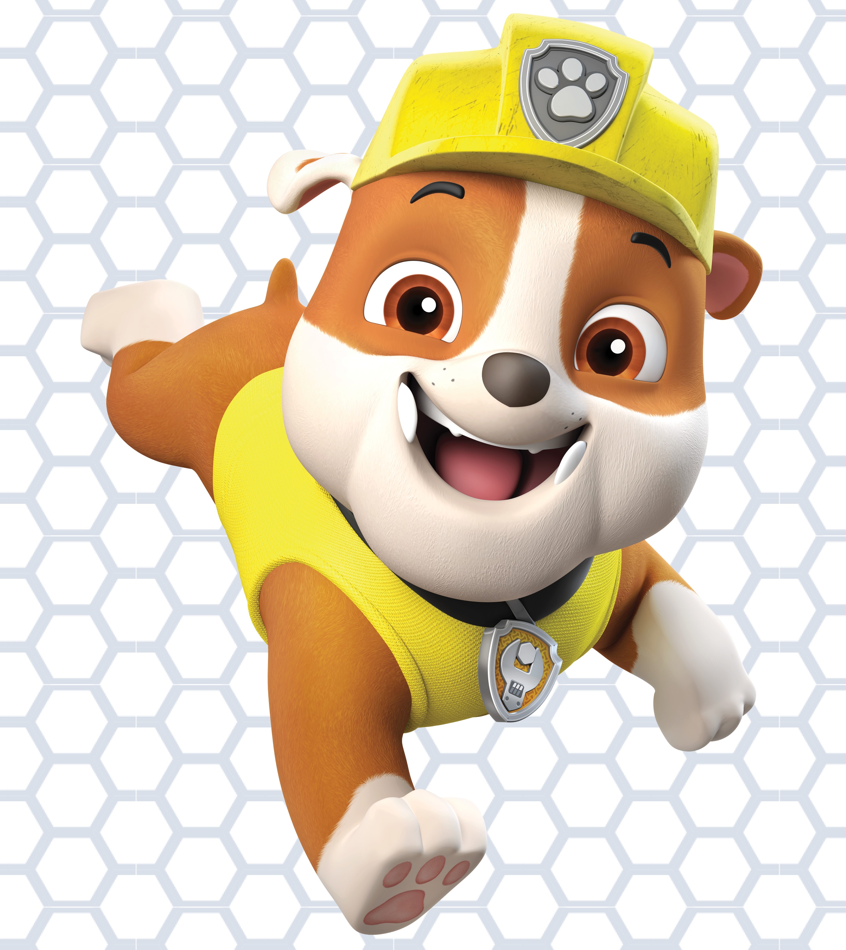 blive forkølet modul uddanne PAW Patrol Live! Race to the Rescue | Tickets, Show Details, & More!